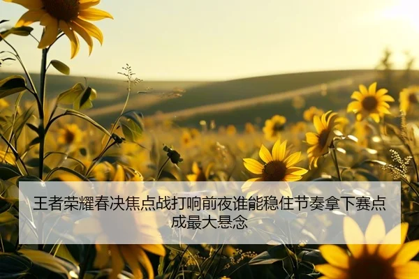 王者荣耀春决焦点战打响前夜谁能稳住节奏拿下赛点成最大悬念